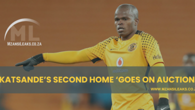 Katsande’s second home ‘goes on auction’