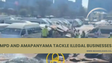 #OperationRestore - JMPD and AmaPanyama Tackle Illegal Businesses, Leaving Illegal Immigrants Shaken