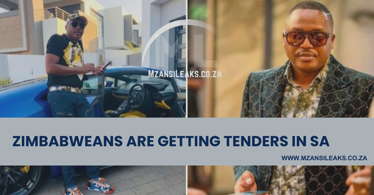 Zimbabweans are getting tenders in sa