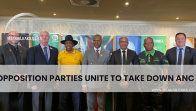 Opposition Parties In United Bid To Take Down The ANC