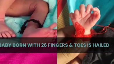 Baby Born in India With 26 Fingers and Toes Celebrated as Reincarnation of Dholagarh Devi