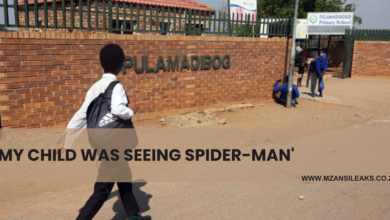 A Soshanguve School Pupil Saw Spider-Man After Eating R2 Muffins With Dagga