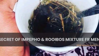 STRICTLY FOR MEN: The Secret Behind Drinking Impepho And Rooibos Mixture