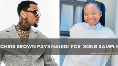 Chris Brown Pays SA Rising Star Naledi Aphiwe For Sampling Her Voice