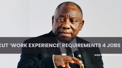 President Ramaphosa Urges Businesses: Drop Work Experience Requirements For Jobs In South Africa