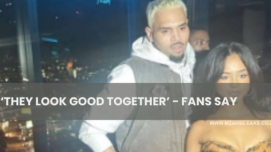 WATCH | Chris Brown with Tyla At Her birthday In Los Angeles - ‘They look good together’